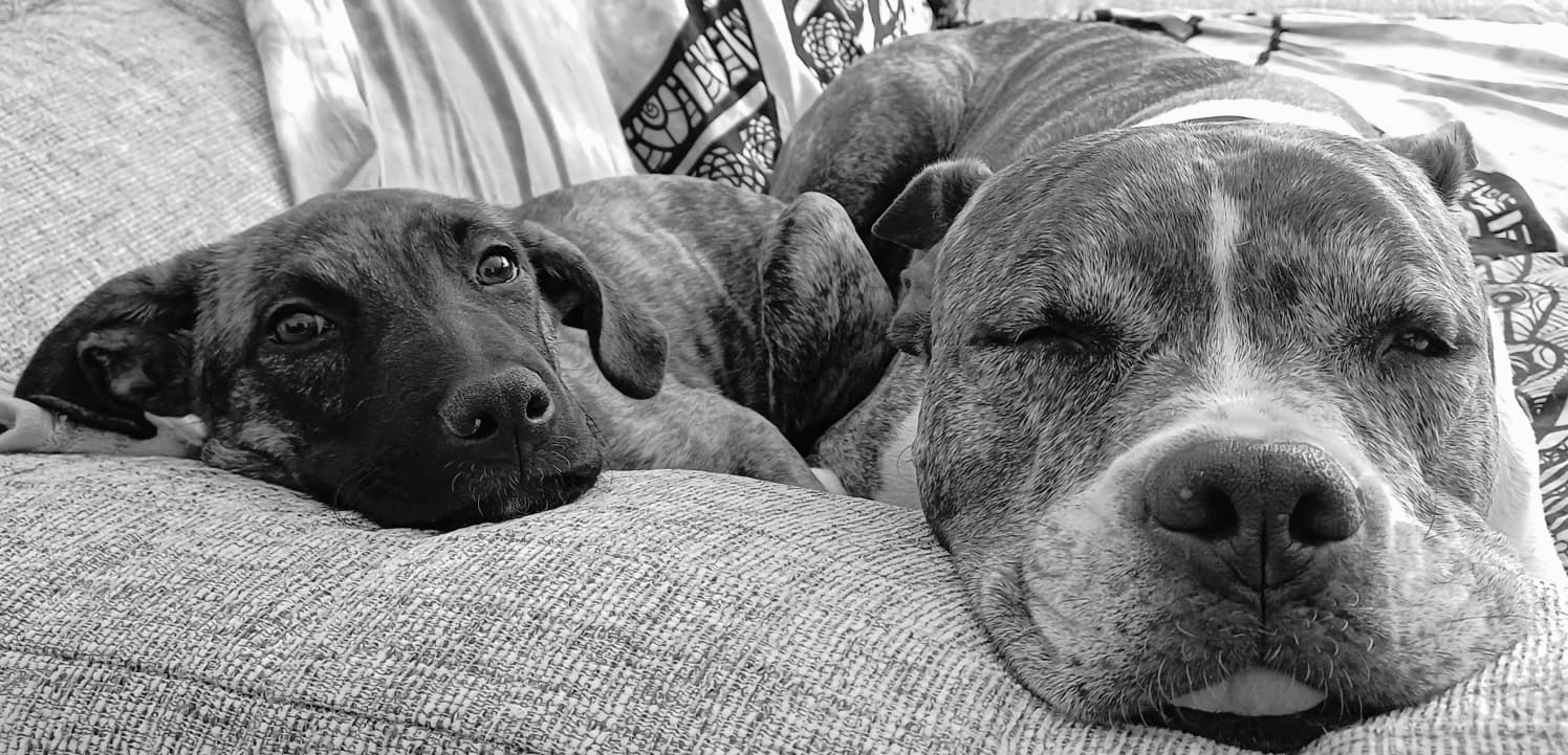 Nina y Arturo